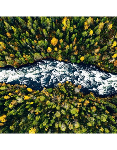 Фототапет - Пътя на реката