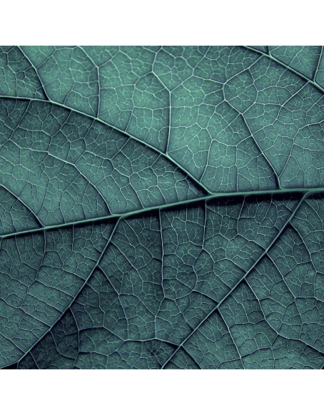 Фототапет - Green leave