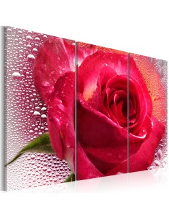 Картина - Lady Rose - triptych