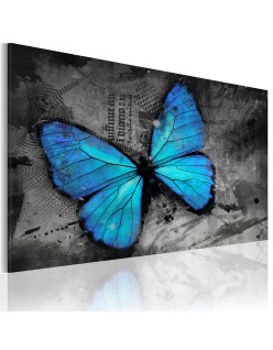 Картина - The study of butterfly