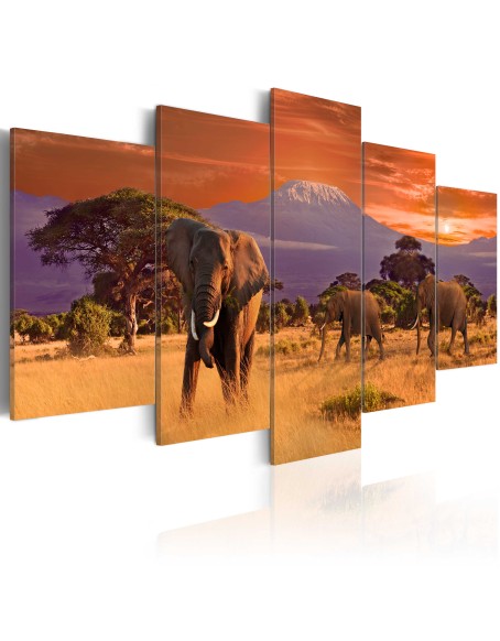 Картина - Africa: Elephants