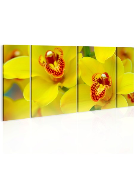 Картина - Orchids - intensity of yellow color