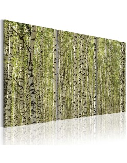 Картина - A forest of birch trees