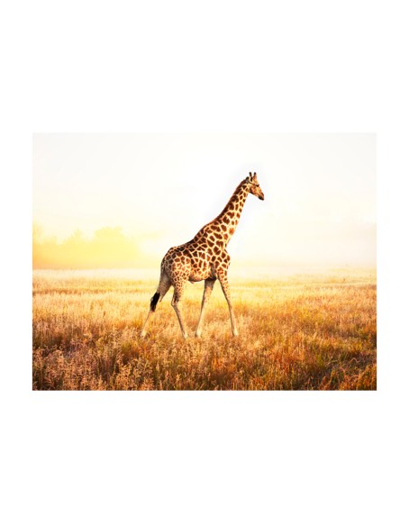 Фототапет - giraffe - walk