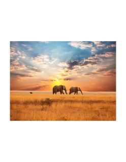 Фототапет - African savanna elephants