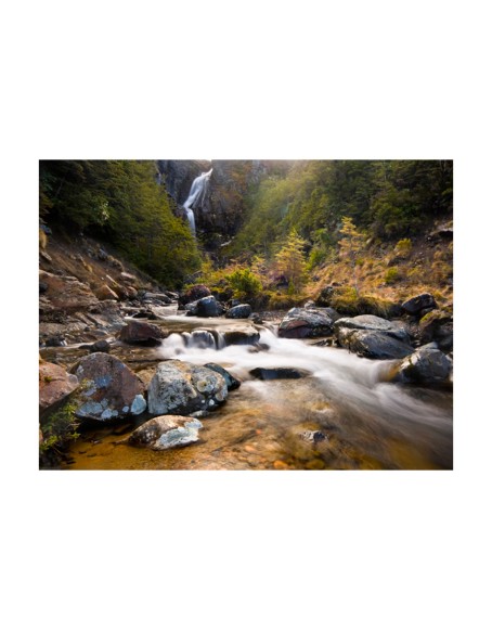 Фототапет - Ohakune - Waterfalls in New Zealand