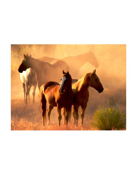 Фототапет - Wild horses of the steppe