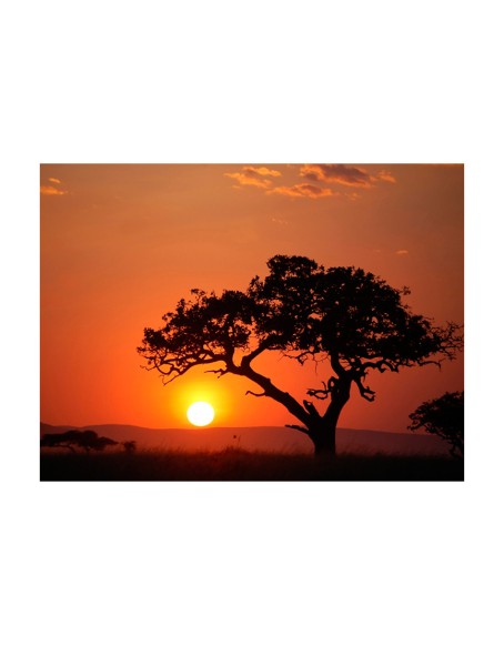 Фототапет - Africa: sunset