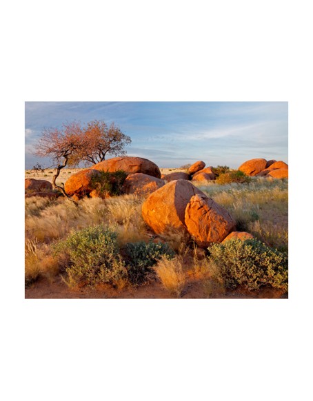 Фототапет - African landscape, Namibia