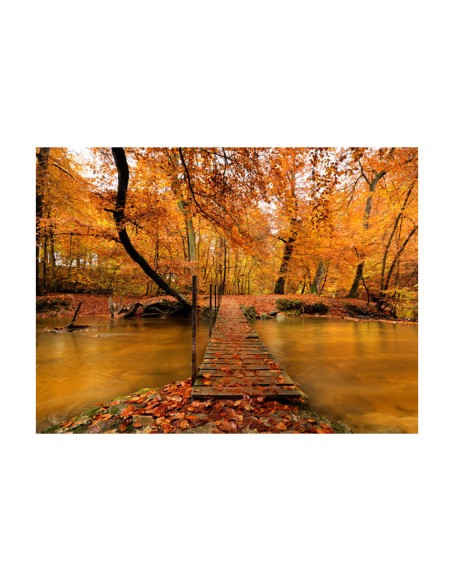 Фототапет - Autumn bridge