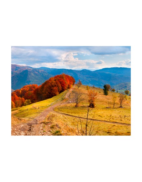 Фототапет - Autumn landscape in the Carpathian mountains