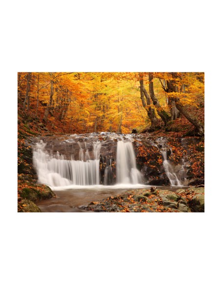 Фототапет - Autumn landscape : waterfall in forest