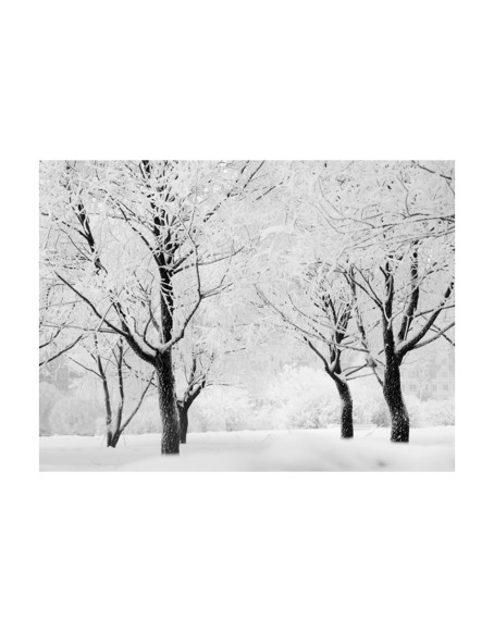 Фототапет - Trees - winter landscape