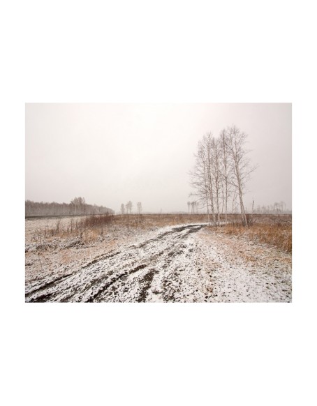 Фототапет - Winter field