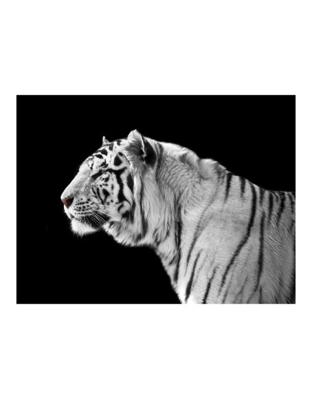 Фототапет - White tiger