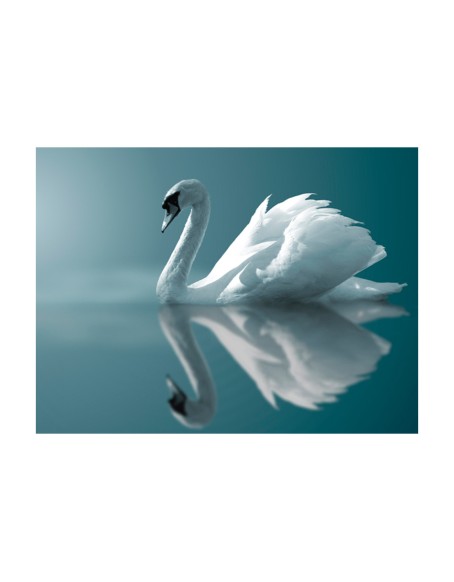 Фототапет - White swan