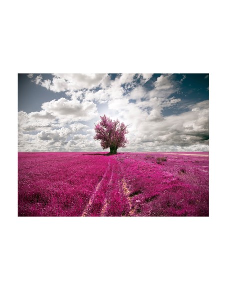 Фототапет - Magenta meadow