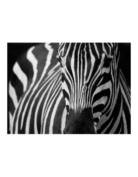 Фототапет - White with black stripes