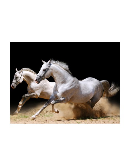 Фототапет - Galloping horses on the sand