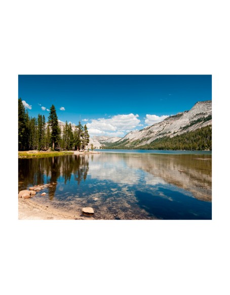 Фототапет - Tenaya Lake - Yosemite National Park