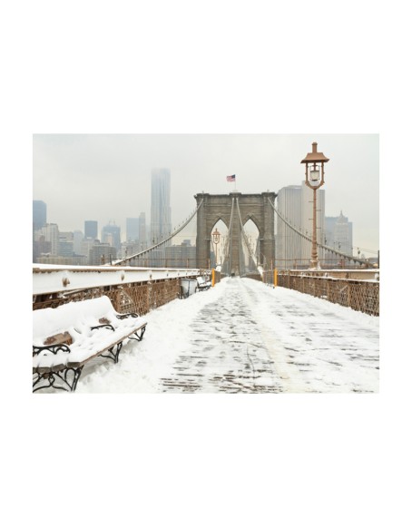 Фототапет - Snow-covered bridge in New York