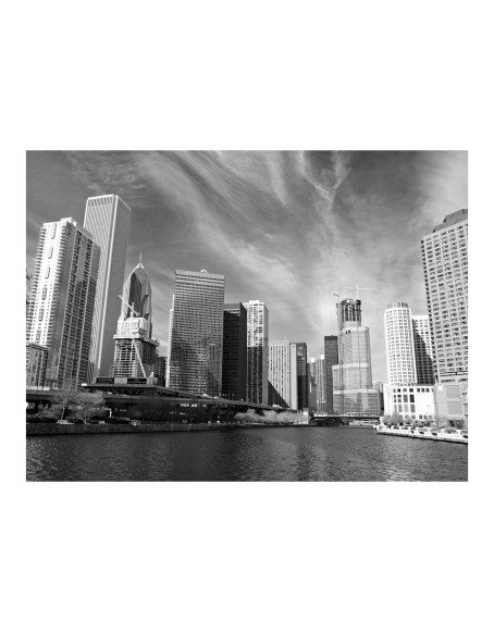 Фототапет - Chicago skyline (black and white)