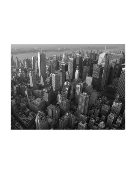 Фототапет - New York: skyscrapers (bird's eye view)