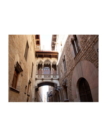 Фототапет - Barcelona Palau generalitat in gothic Barrio