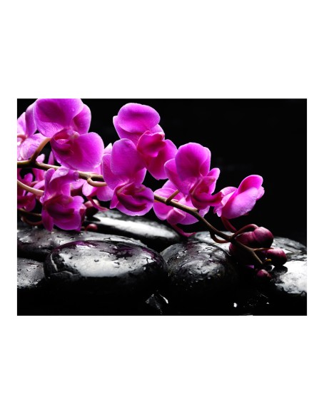 Фототапет - Relaxing moment: orchid flower and stones