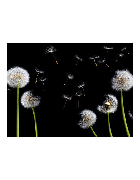 Фототапет - Dandelions in the wind