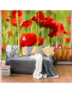 Фототапет - Cereal field with poppies