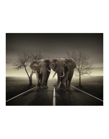 Фототапет - City of elephants