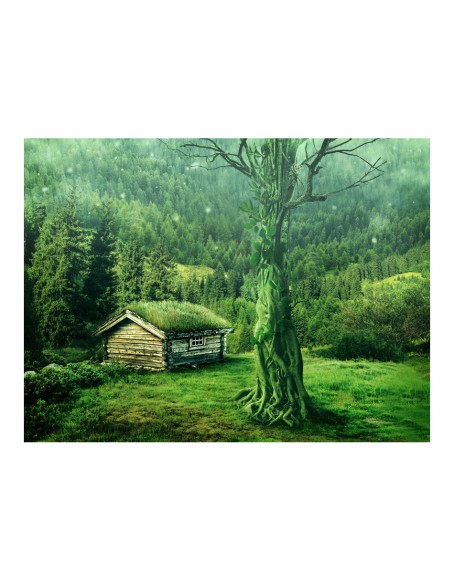 Фототапет - Green seclusion