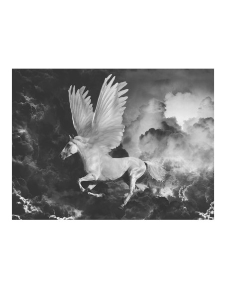 Фототапет - Pegasus on the way to Mount Olympus 