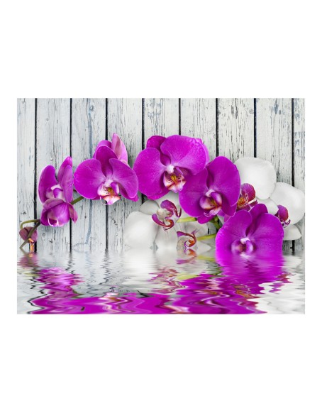 Фототапет - Violet orchids with water reflexion