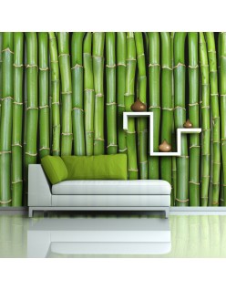 Фототапет - Bamboo wall