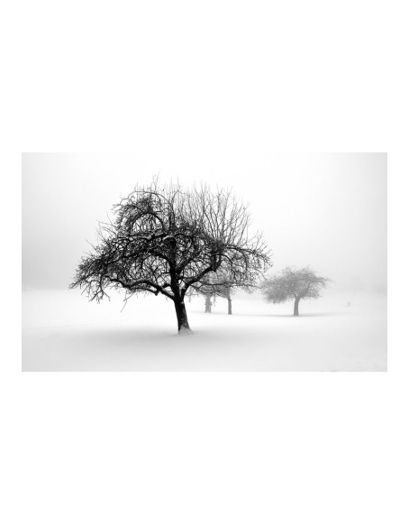 Фототапет - winter - trees