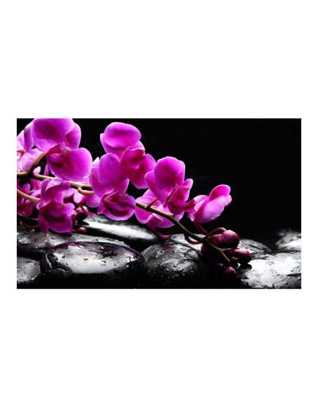 Фототапет - Relaxing moment: orchid flower and stones