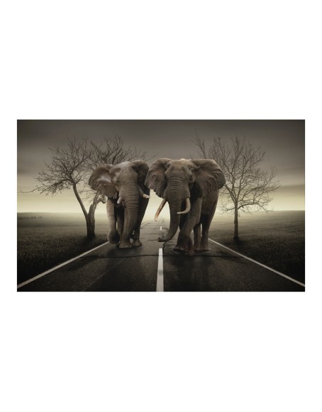 Фототапет - City of elephants