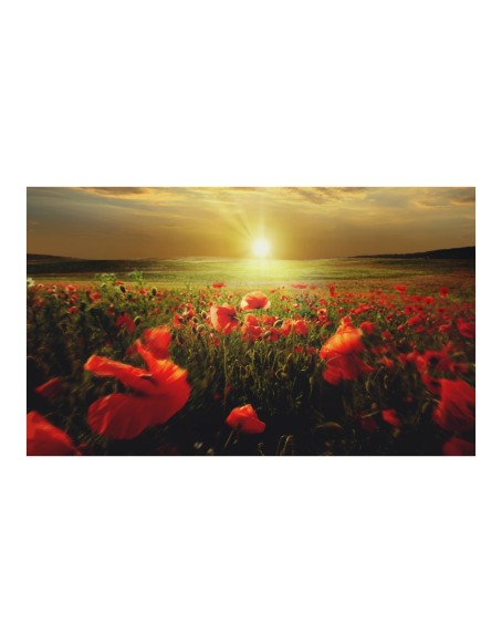 Фототапет - Morning on the poppy meadow