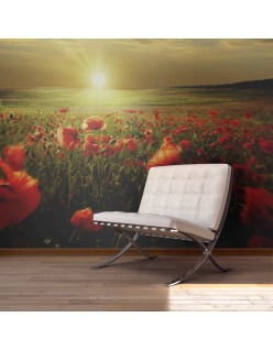 Фототапет - Morning on the poppy meadow