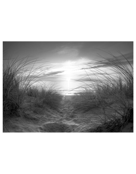 Фототапет - beach (black and white)