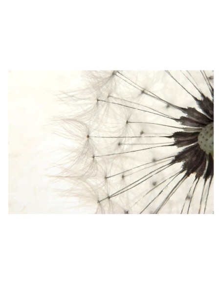 Фототапет - White Dandelion