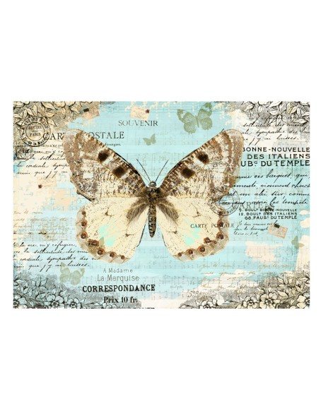 Фототапет - Postcard with butterfly