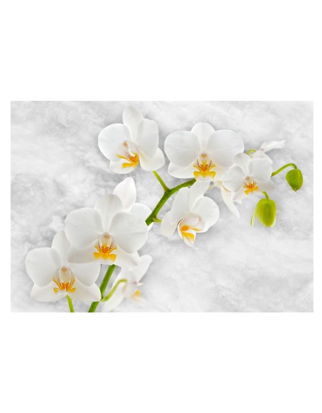 Фототапет - Lyrical orchid - White