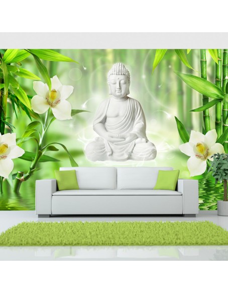 Фототапет - Buddha and nature