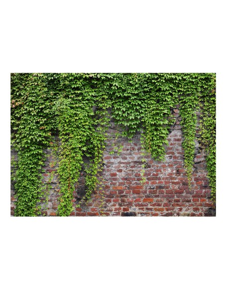 Фототапет - Brick and ivy