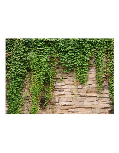 Фототапет - Ivy wall