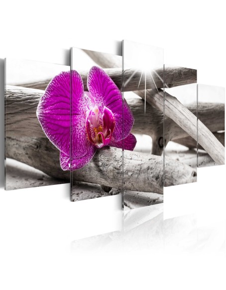 Картина - Orchid on beach