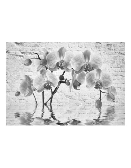 Фототапет - Orchid in Shades of Gray